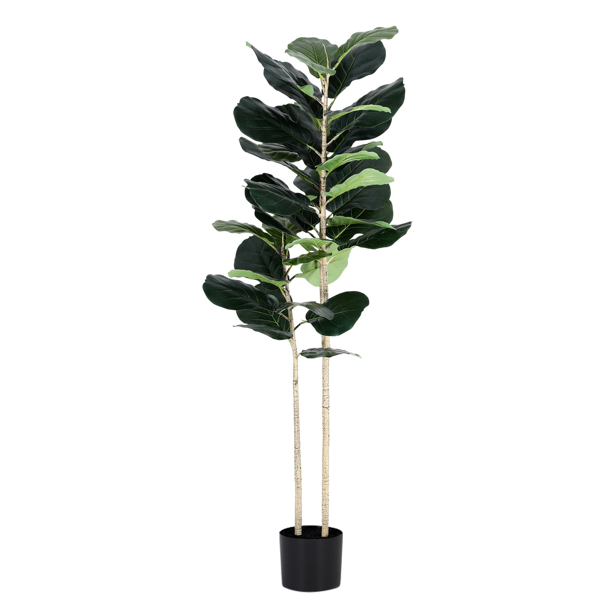 150cm Artificial Fiddle Tree Faux Trees Indoor Decor Artificial Plants Lifelike Plant 1.5M - Home & Garden > Artificial Plants > Artificial Trees - Rivercity House & Home Co. (ABN 18 642 972 209) - Affordable Modern Furniture Australia
