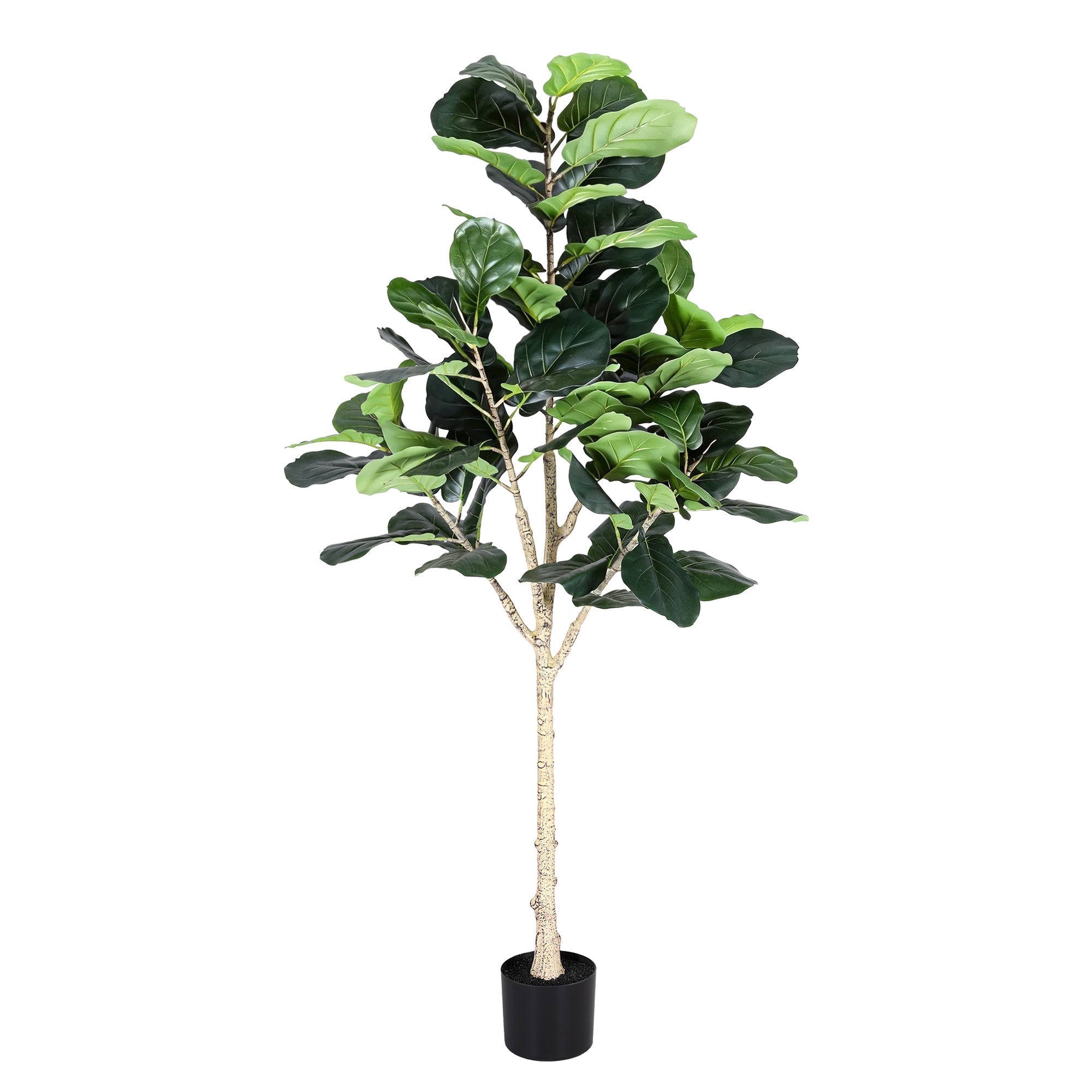 180cm Artificial Fiddle Tree Faux Trees Indoor Decor Artificial Plants Lifelike Plant 1.8M - Home & Garden > Artificial Plants > Artificial Trees - Rivercity House & Home Co. (ABN 18 642 972 209) - Affordable Modern Furniture Australia
