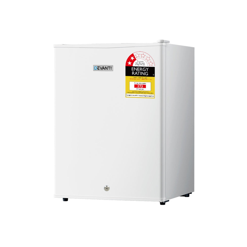 Upright Freezer Portable Refrigerator Home Office Mini Fridge Cooler 60L