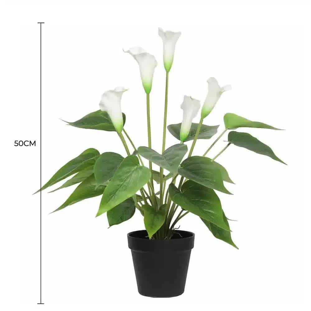 Artificial Flowering Peace Lily Plant 50cm - White - Health & Beauty > Health & Wellbeing > Wellness Accessories - Rivercity House & Home Co. (ABN 18 642 972 209) - Affordable Modern Furniture Australia