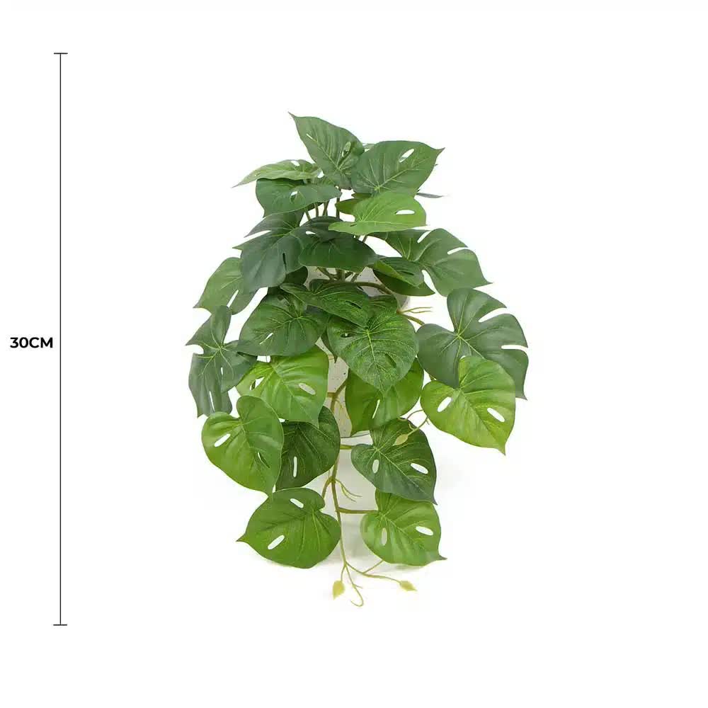 Artificial Monstera Adansonii Plant 30cm in Ceramic Bowl - Green - Home & Garden > Wall Art > 3D Wall Art - Rivercity House & Home Co. (ABN 18 642 972 209) - Affordable Modern Furniture Australia