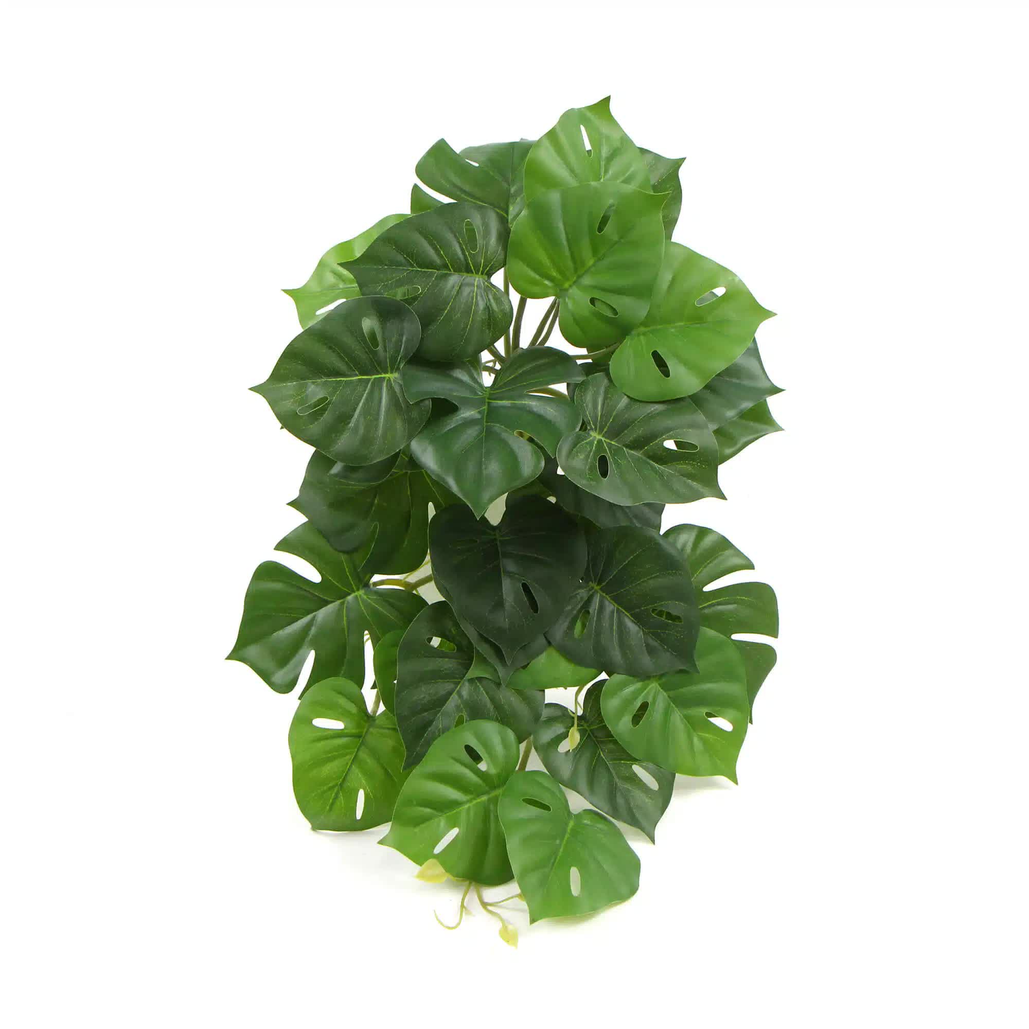 Artificial Monstera Adansonii Plant 50cm - Green - Home & Garden > Artificial Plants > Artificial Trees - Rivercity House & Home Co. (ABN 18 642 972 209) - Affordable Modern Furniture Australia