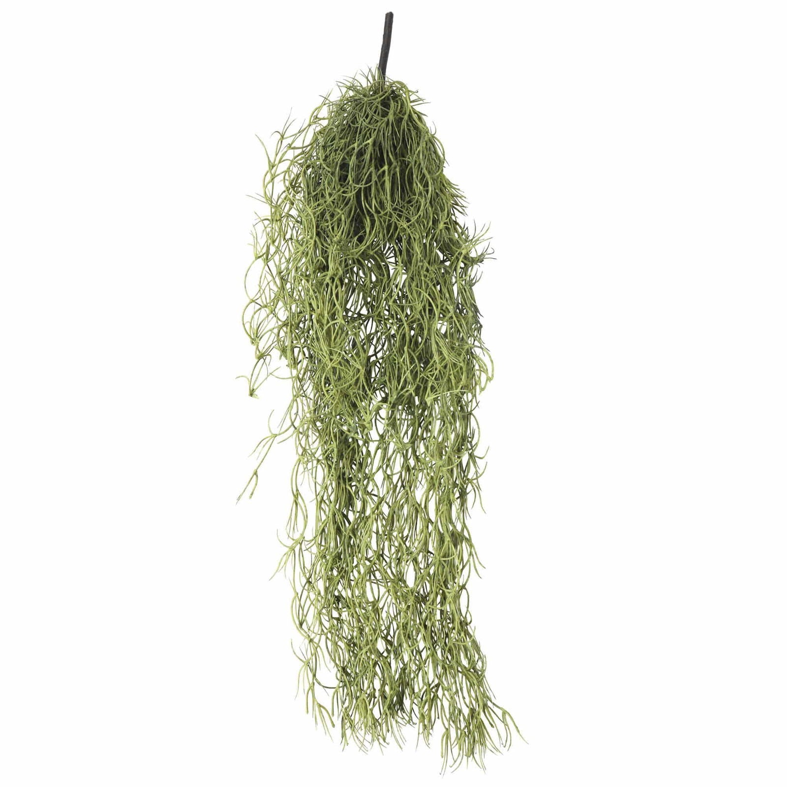 Artificial Old Man Beard Air Plant Spanish Moss 60cm - Natural Green - Home & Garden > Artificial Plants > Artificial Trees - Rivercity House & Home Co. (ABN 18 642 972 209) - Affordable Modern Furniture Australia