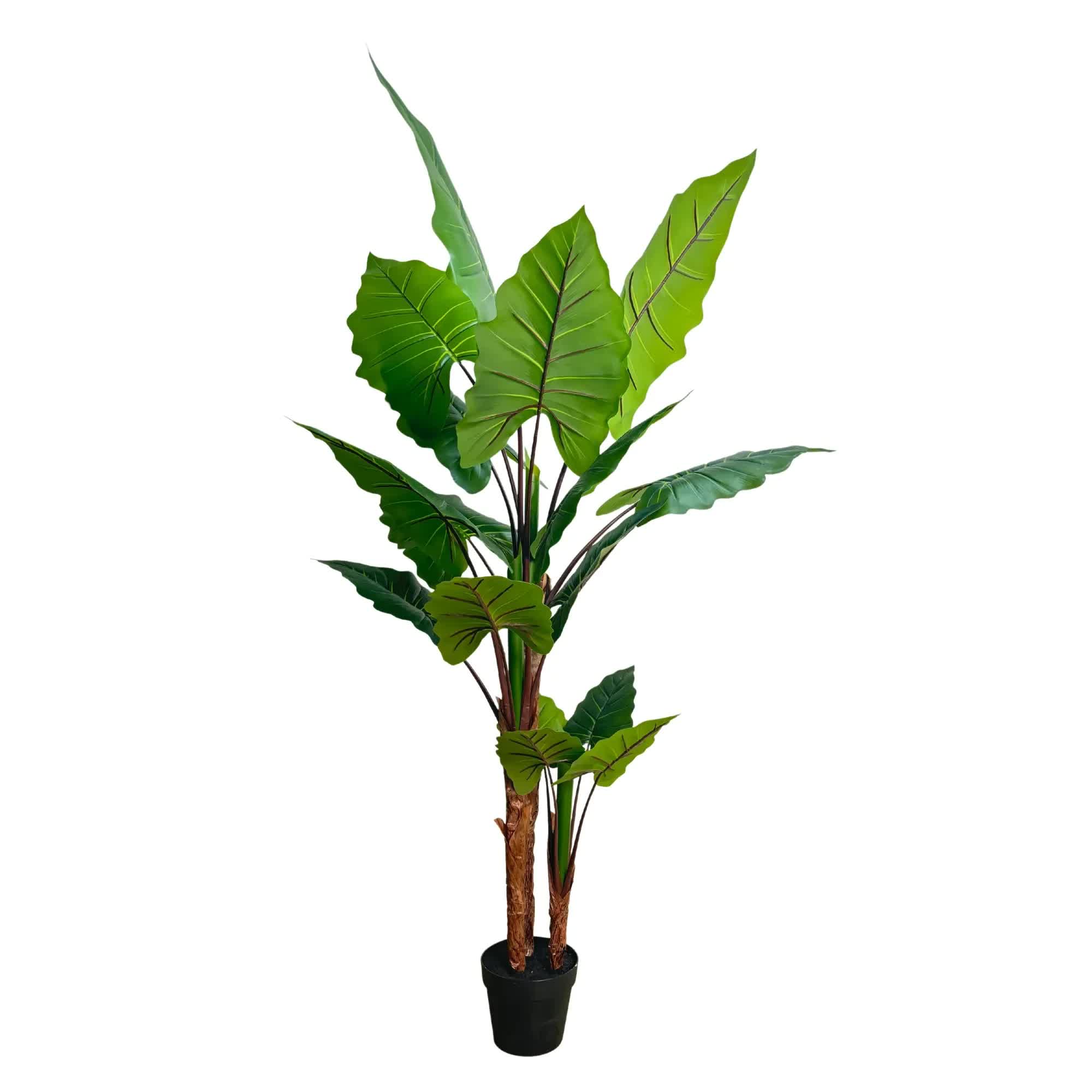 Artificial Taro Elephant Ear Palm 170cm - Vibrant Green - Home & Garden > Artificial Plants > Artificial Trees - Rivercity House & Home Co. (ABN 18 642 972 209) - Affordable Modern Furniture Australia