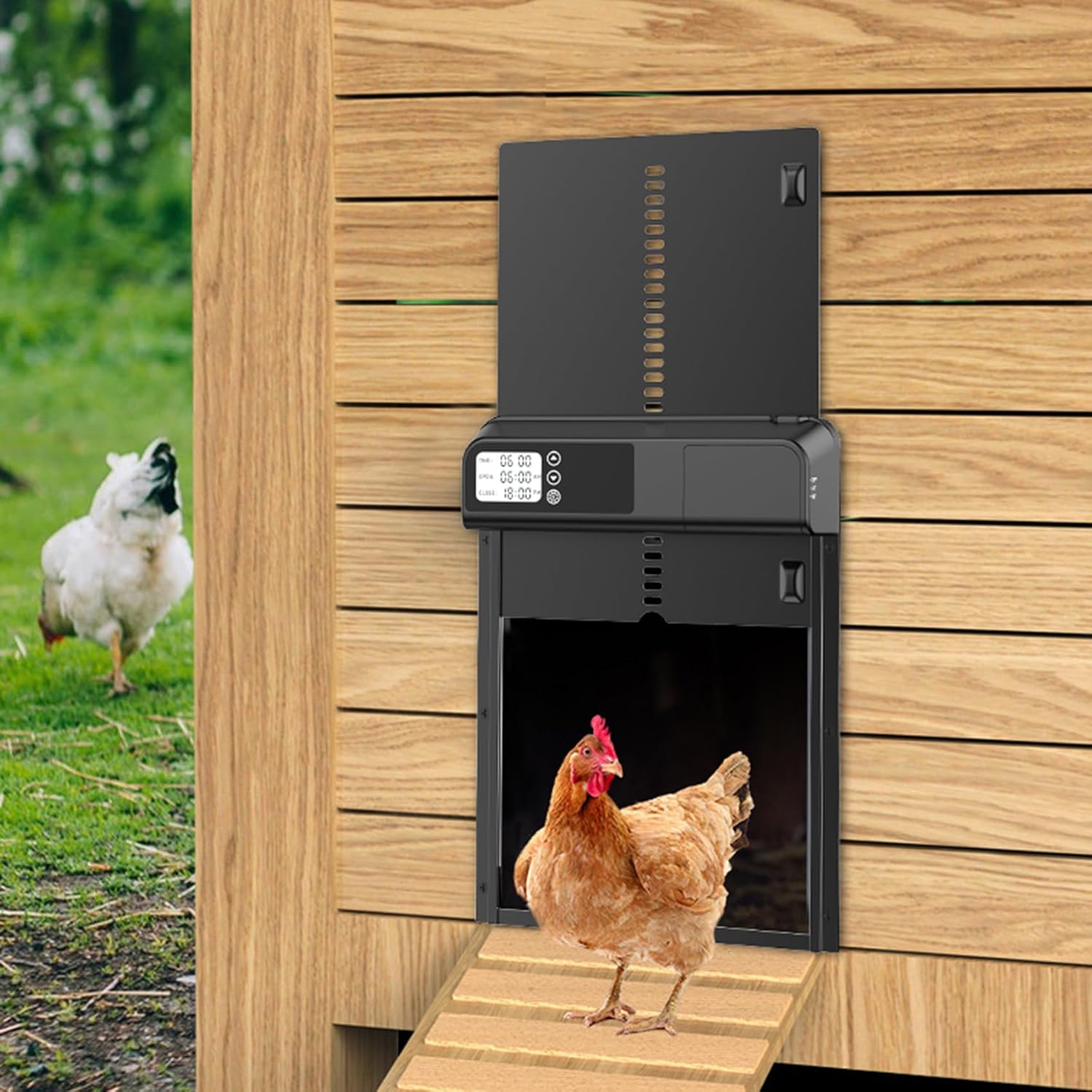 Automatic Chicken Coop Door with Timer, LCD Screen & Anti - Pinch Safety - Weatherproof Battery Operated - Electronics > Business & Home Security > Electronic Door Locks - Rivercity House & Home Co. (ABN 18 642 972 209) - Affordable Modern Furniture Australia