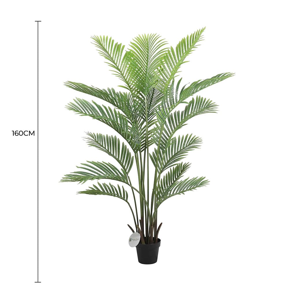 Premium Artificial Areca Palm Tree Real Touch 160cm - Home & Garden > Artificial Plants > Artificial Trees - Rivercity House & Home Co. (ABN 18 642 972 209) - Affordable Modern Furniture Australia