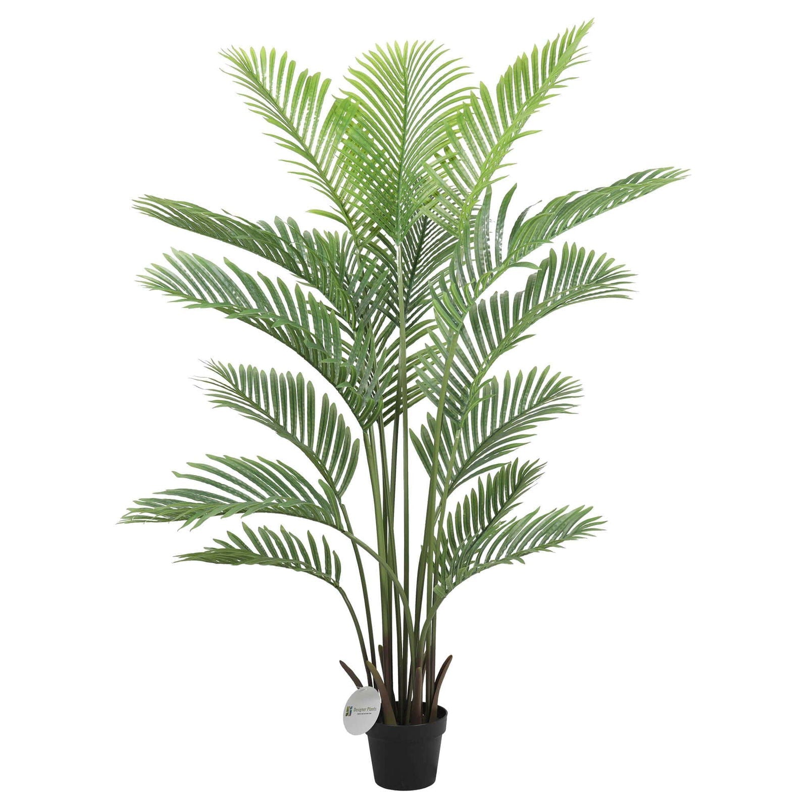 Premium Artificial Areca Palm Tree Real Touch 160cm - Home & Garden > Artificial Plants > Artificial Trees - Rivercity House & Home Co. (ABN 18 642 972 209) - Affordable Modern Furniture Australia