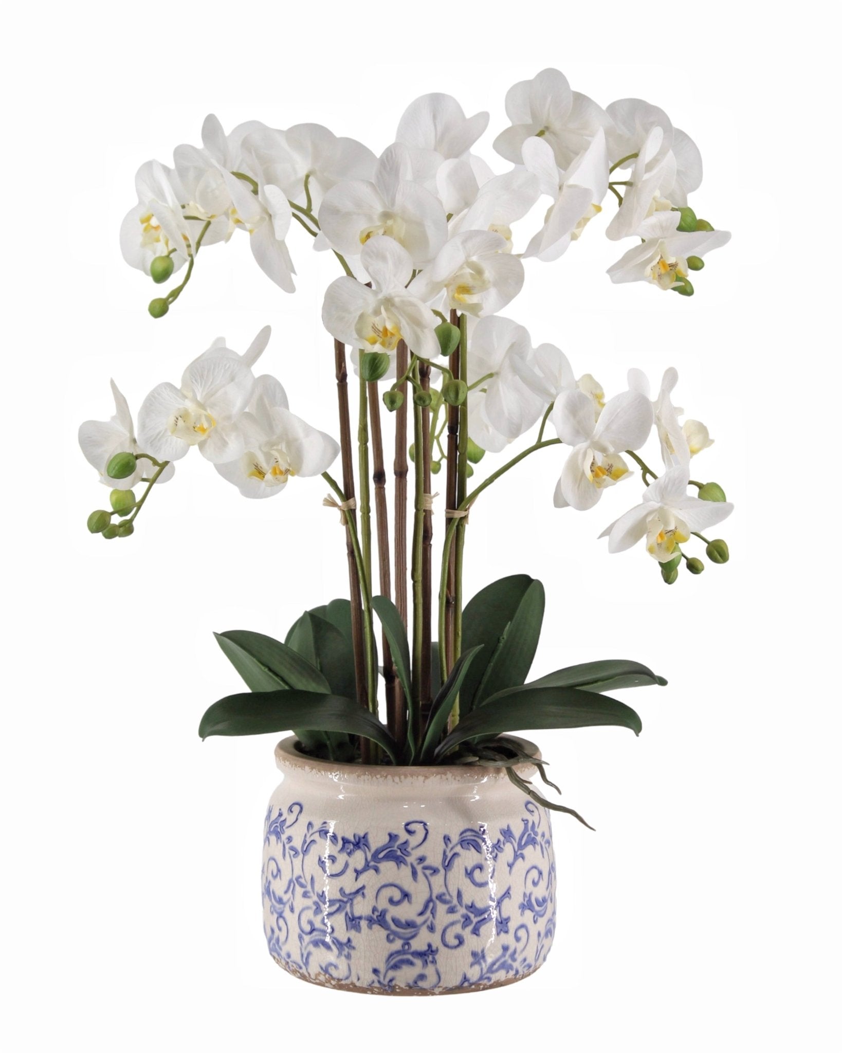 Real Touch Artificial Orchid in Pot 61cm - Home & Garden > Artificial Plants > Artificial Flowers & Plants - Rivercity House & Home Co. (ABN 18 642 972 209) - Affordable Modern Furniture Australia