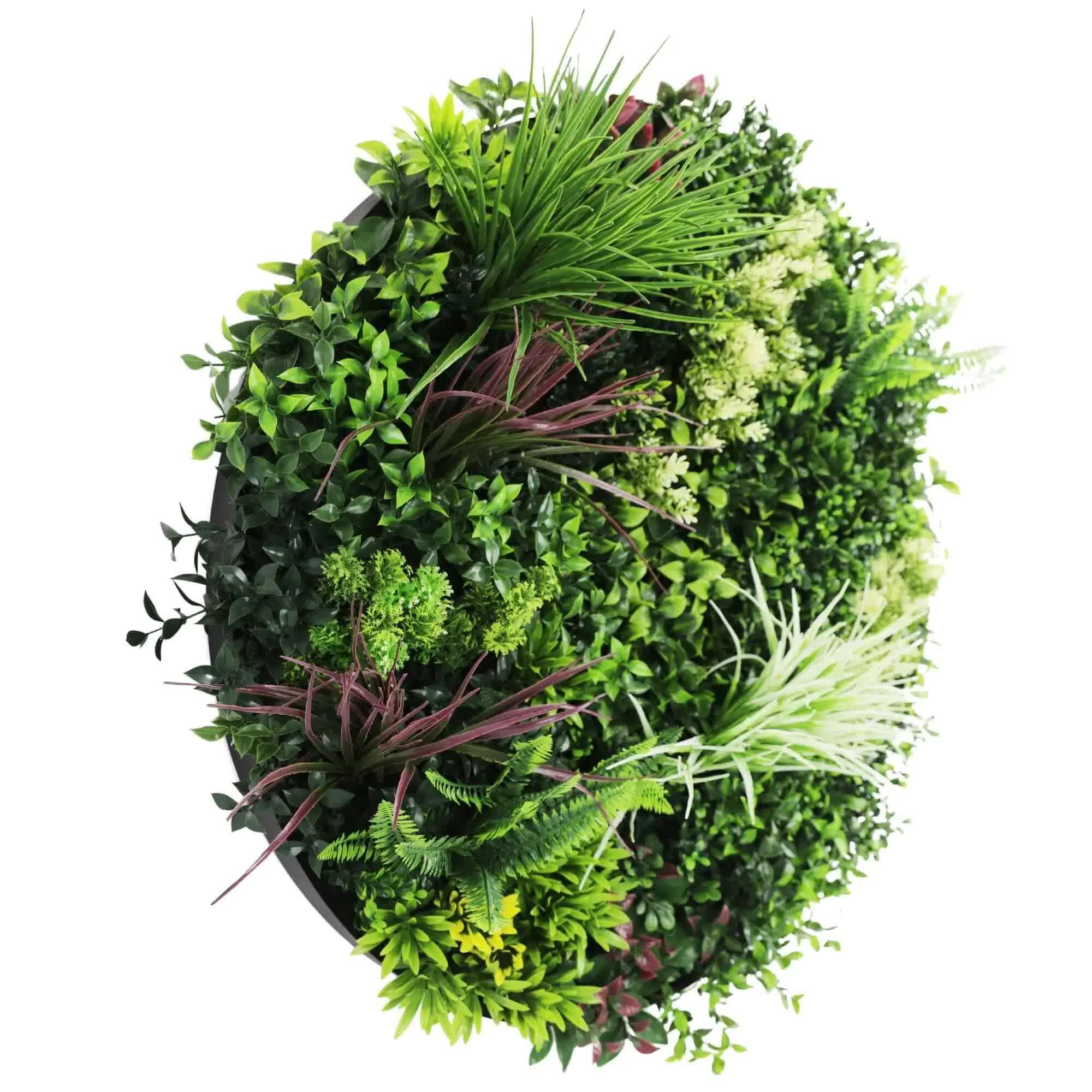 Slimline 80cm Artificial Green Wall Disc Art UV Resistant - Black - Home & Garden > Wall Art > 3D Wall Art - Rivercity House & Home Co. (ABN 18 642 972 209) - Affordable Modern Furniture Australia
