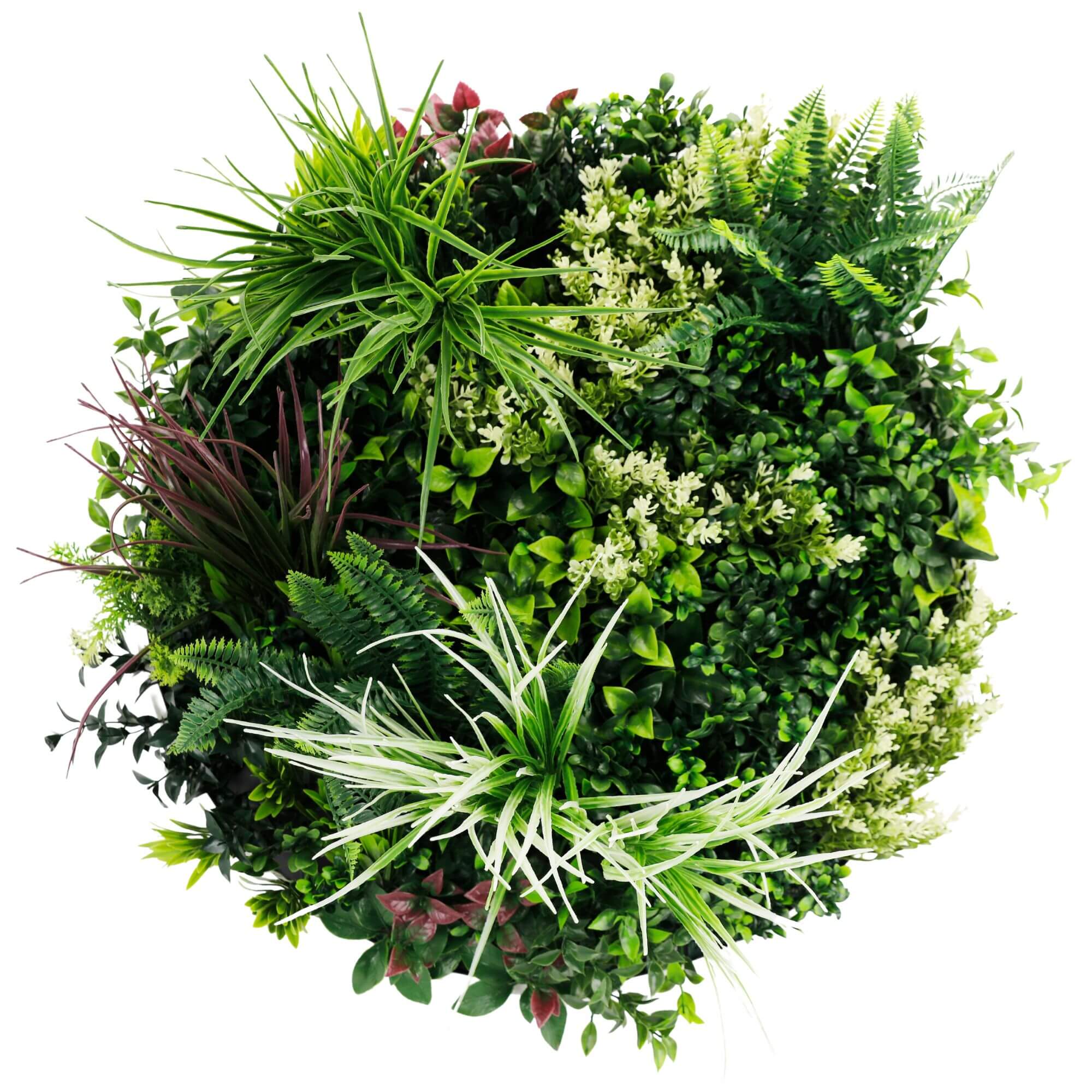 Slimline Artificial Green Wall Disc Art 60cm UV Resistant - White - Home & Garden > Wall Art > 3D Wall Art - Rivercity House & Home Co. (ABN 18 642 972 209) - Affordable Modern Furniture Australia