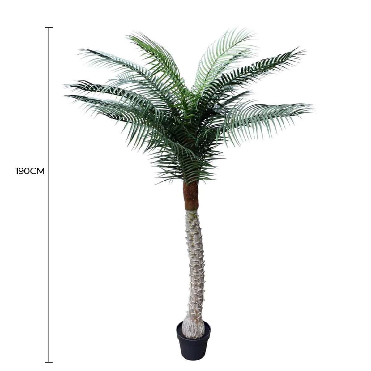 Tropical Phoenix Artificial Potted Palm Tree 190cm UV Resistant - Home & Garden > Artificial Plants > Artificial Trees - Rivercity House & Home Co. (ABN 18 642 972 209) - Affordable Modern Furniture Australia