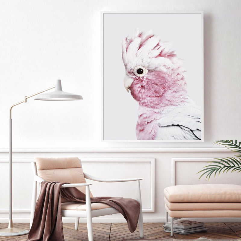 Wall Art 50cmx70cm Pink Galah White Frame Canvas - Home & Garden > Wall Art - Rivercity House & Home Co. (ABN 18 642 972 209) - Affordable Modern Furniture Australia
