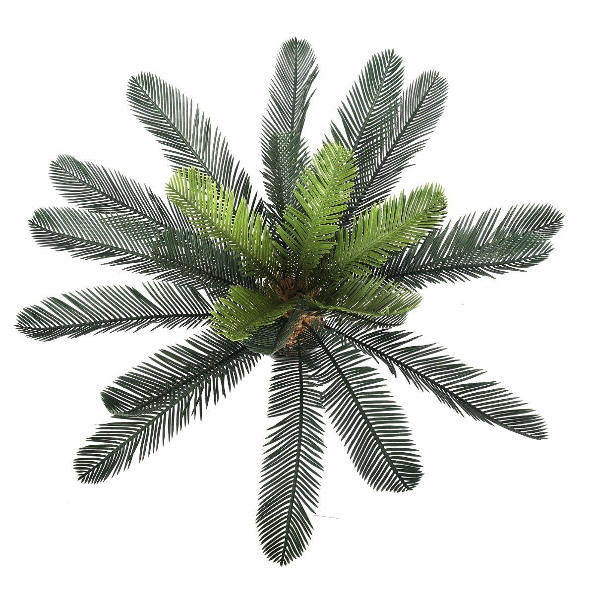 Artificial Cyac (Cycad) Plant 60cm - Rivercity House & Home Co. (ABN 18 642 972 209) - Affordable Modern Furniture Australia