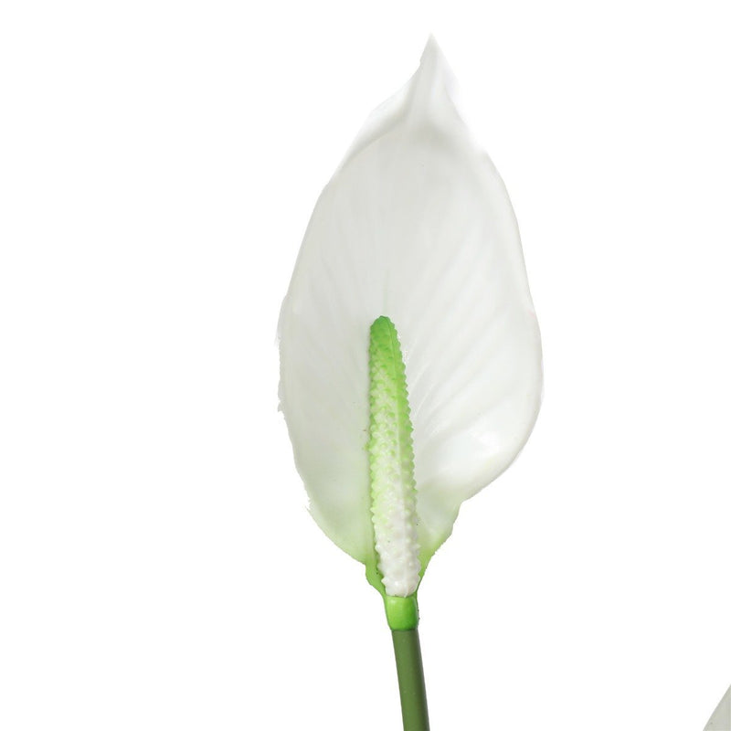 Artificial Flowering White Peace Lily / Calla Lily 95cm - Rivercity House & Home Co. (ABN 18 642 972 209) - Affordable Modern Furniture Australia