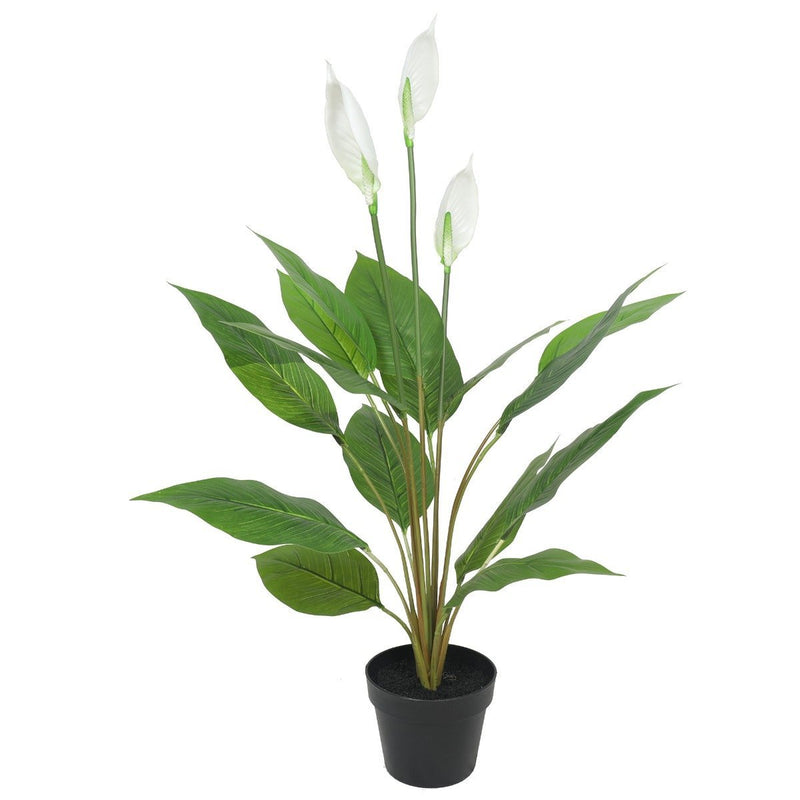 Artificial Flowering White Peace Lily / Calla Lily 95cm - Rivercity House & Home Co. (ABN 18 642 972 209) - Affordable Modern Furniture Australia