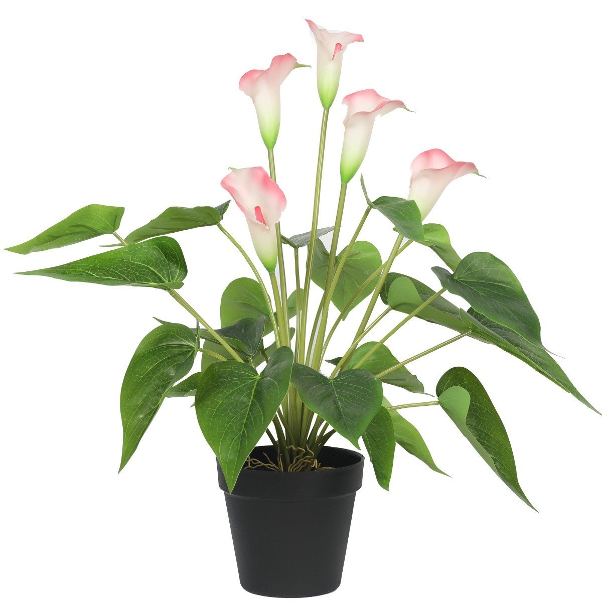 Artificial Flowering White & Pink Peace Lily / Calla Lily Plant 50cm - Rivercity House & Home Co. (ABN 18 642 972 209) - Affordable Modern Furniture Australia