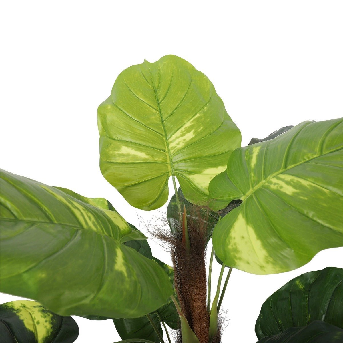 Artificial Potted Pothos Plant with Pole 100cm - Rivercity House & Home Co. (ABN 18 642 972 209) - Affordable Modern Furniture Australia