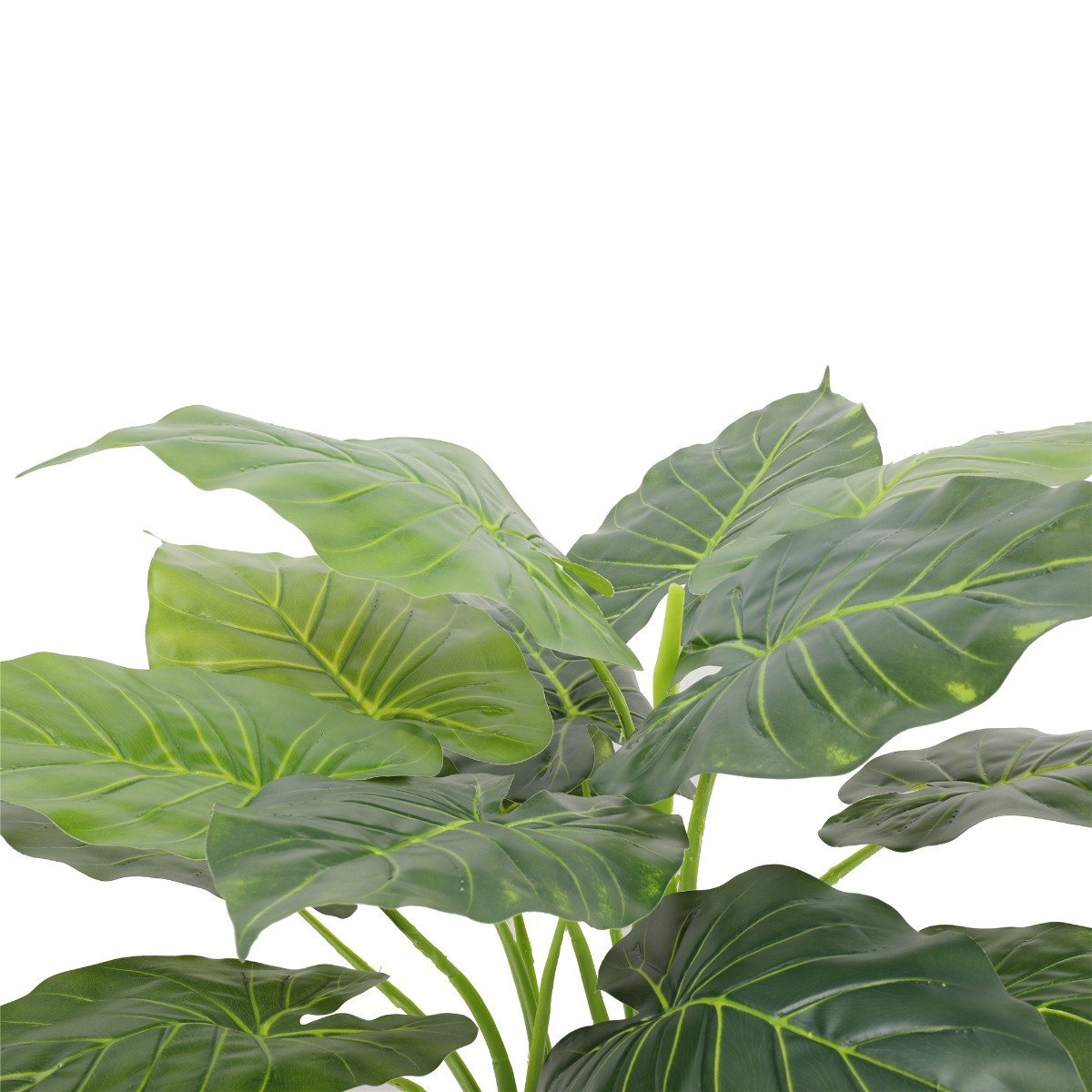 Artificial Potted Taro Plant / Elephant Ear 70cm - Rivercity House & Home Co. (ABN 18 642 972 209) - Affordable Modern Furniture Australia