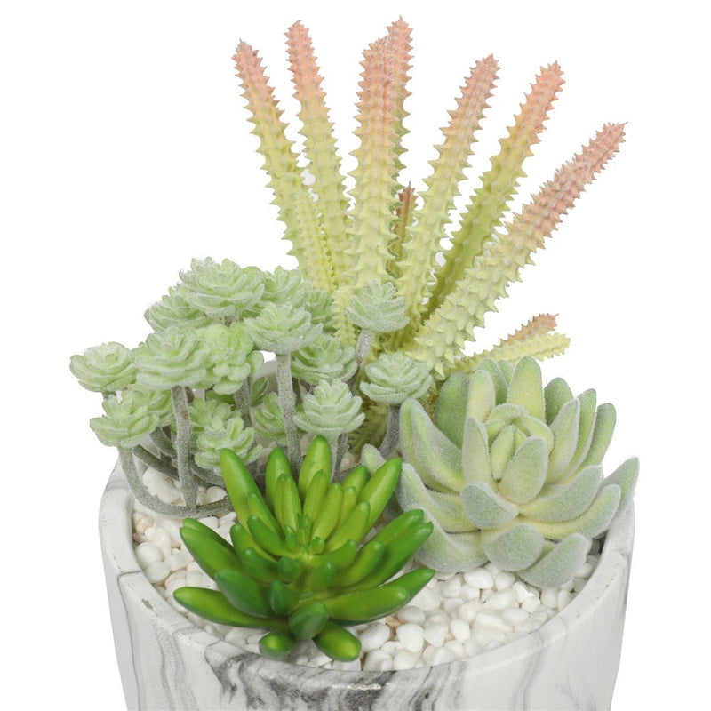 Potted Artificial Succulent Bowl with Marble Pot 20.5cm - Rivercity House & Home Co. (ABN 18 642 972 209) - Affordable Modern Furniture Australia