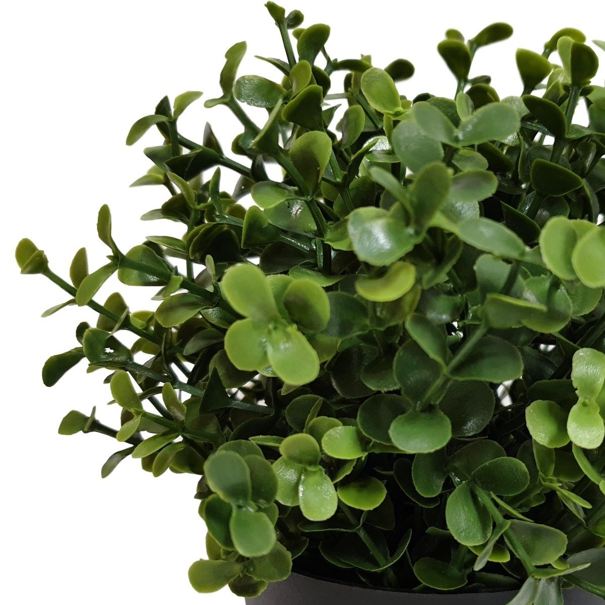 Small Potted Artificial Buxus Plant UV Resistant 20cm - Rivercity House & Home Co. (ABN 18 642 972 209) - Affordable Modern Furniture Australia