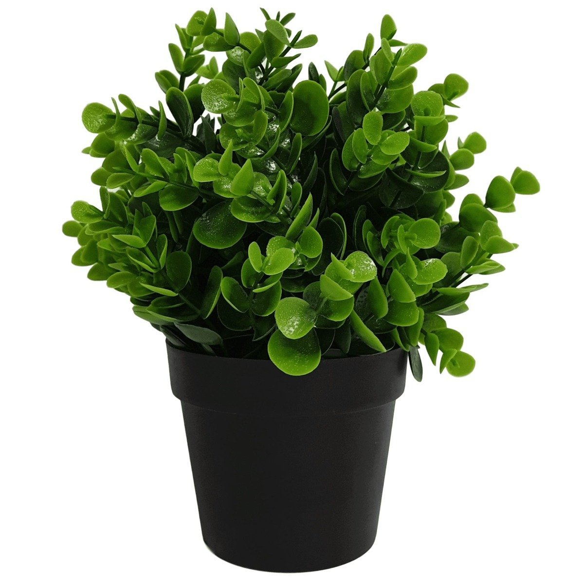 Small Potted Artificial Peperomia Plant UV Resistant 20cm - Rivercity House & Home Co. (ABN 18 642 972 209) - Affordable Modern Furniture Australia