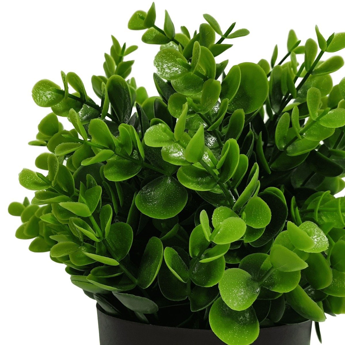 Small Potted Artificial Peperomia Plant UV Resistant 20cm - Rivercity House & Home Co. (ABN 18 642 972 209) - Affordable Modern Furniture Australia
