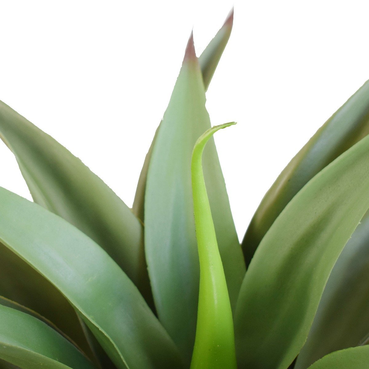 UV Agave 50cm No Pot - Rivercity House & Home Co. (ABN 18 642 972 209) - Affordable Modern Furniture Australia