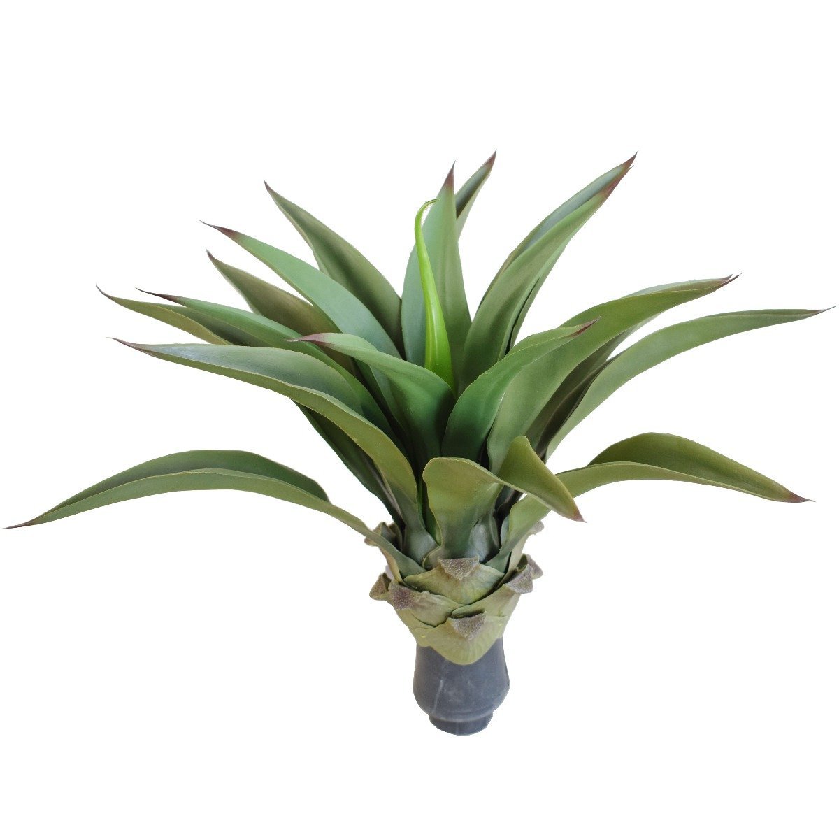 UV Agave 50cm No Pot - Rivercity House & Home Co. (ABN 18 642 972 209) - Affordable Modern Furniture Australia
