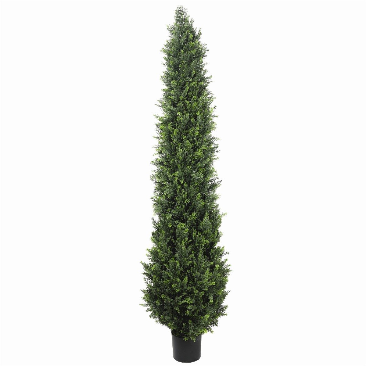 UV Resistant Cypress Pine Tree 2.1m - Rivercity House & Home Co. (ABN 18 642 972 209) - Affordable Modern Furniture Australia