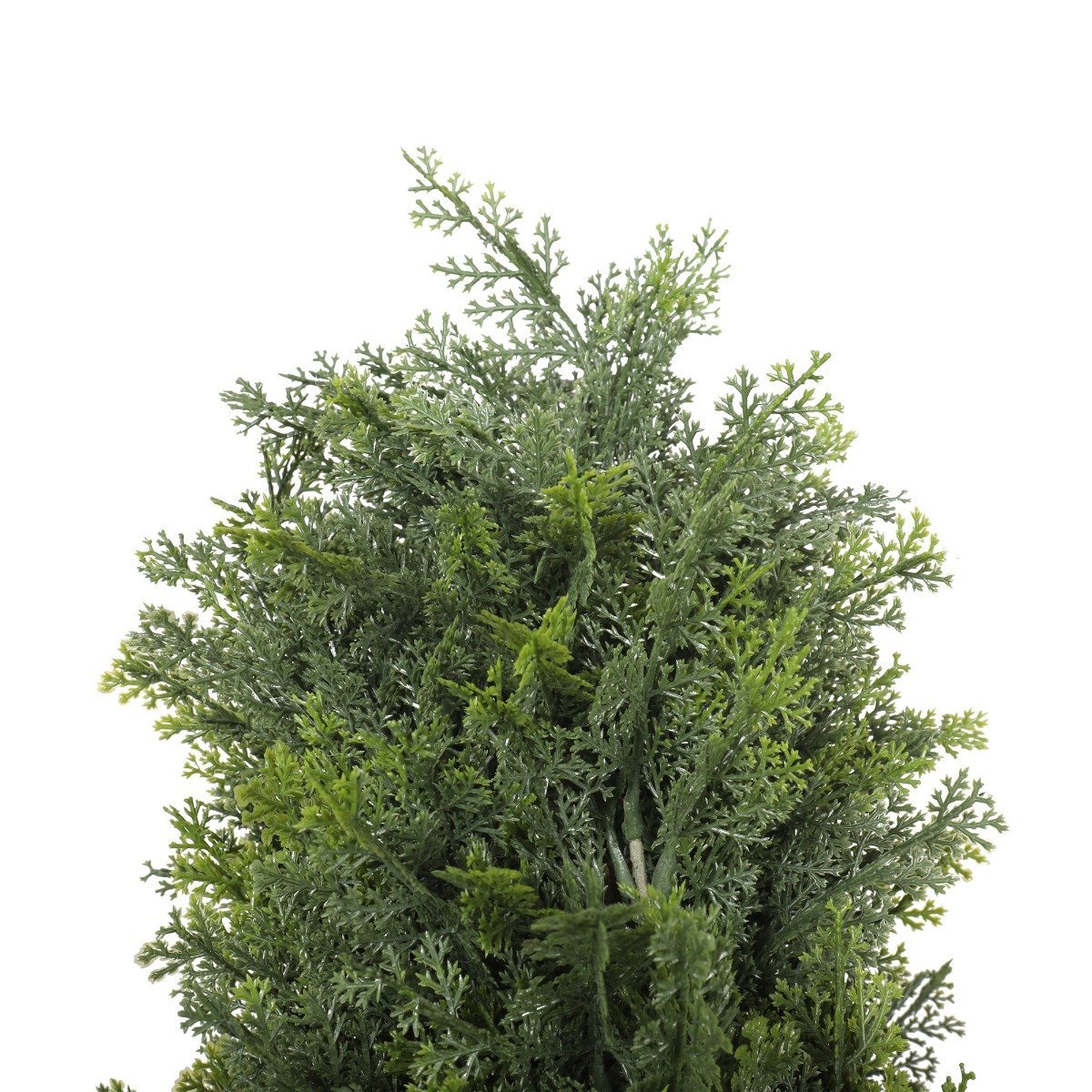 UV Resistant Cypress Pine Tree 2.1m - Rivercity House & Home Co. (ABN 18 642 972 209) - Affordable Modern Furniture Australia