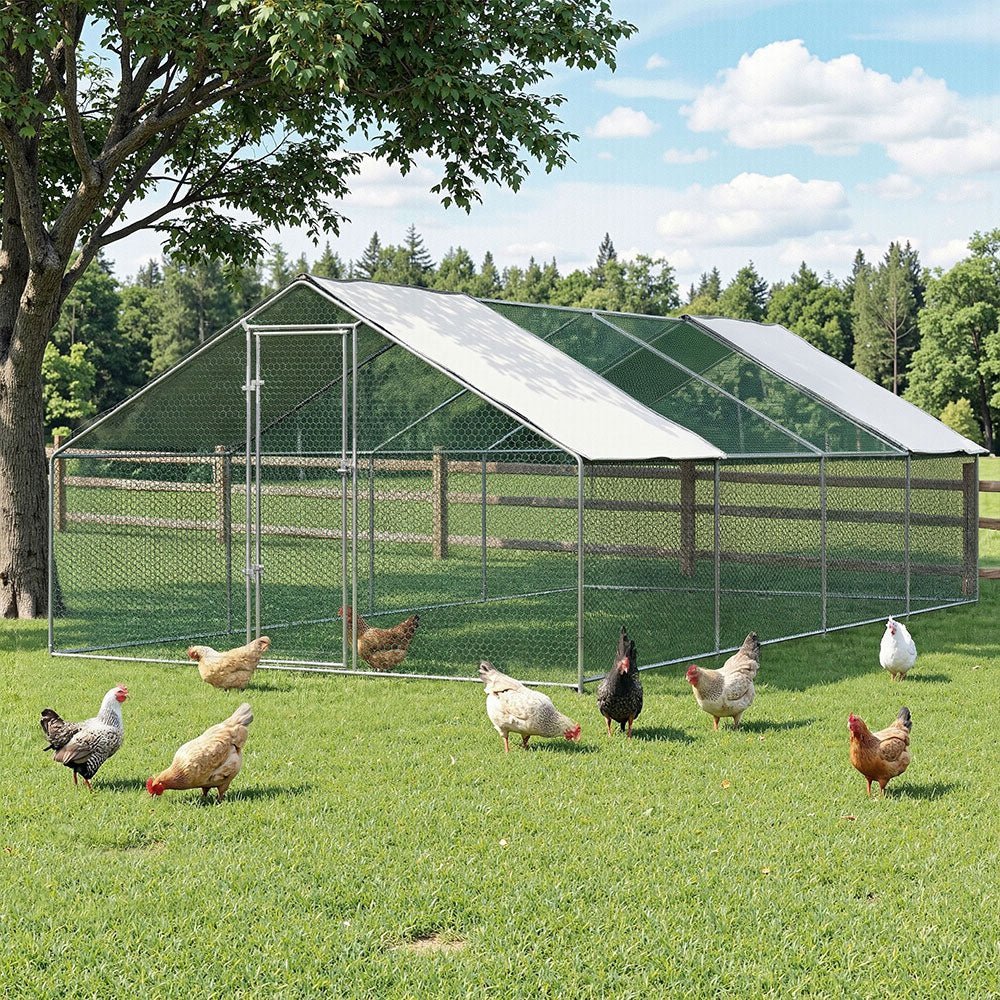 Chicken Coops - Rivercity House & Home Co. (ABN 18 642 972 209)