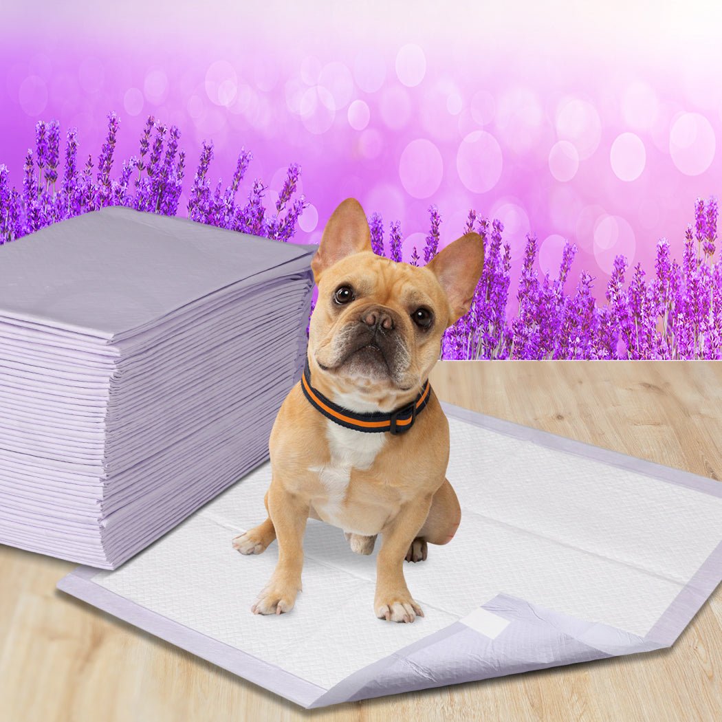100x Pet Dog Toilet Training Pads with Lavender Scent - White - Rivercity House & Home Co. (ABN 18 642 972 209) - Affordable Modern Furniture Australia