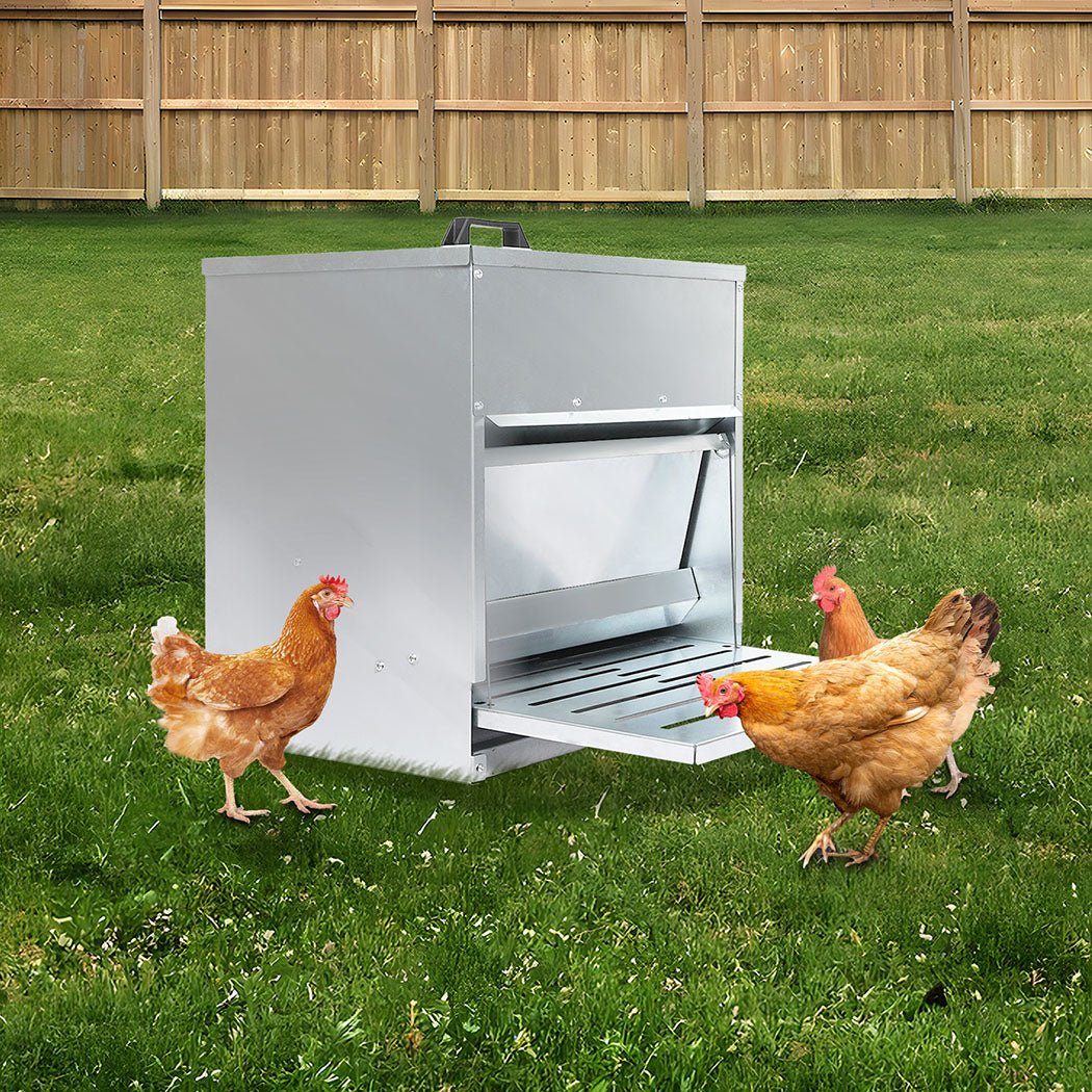 10KG Automatic Chicken Feeder with Step Pedal - Galvanised Steel Silver - Rivercity House & Home Co. (ABN 18 642 972 209) - Affordable Modern Furniture Australia