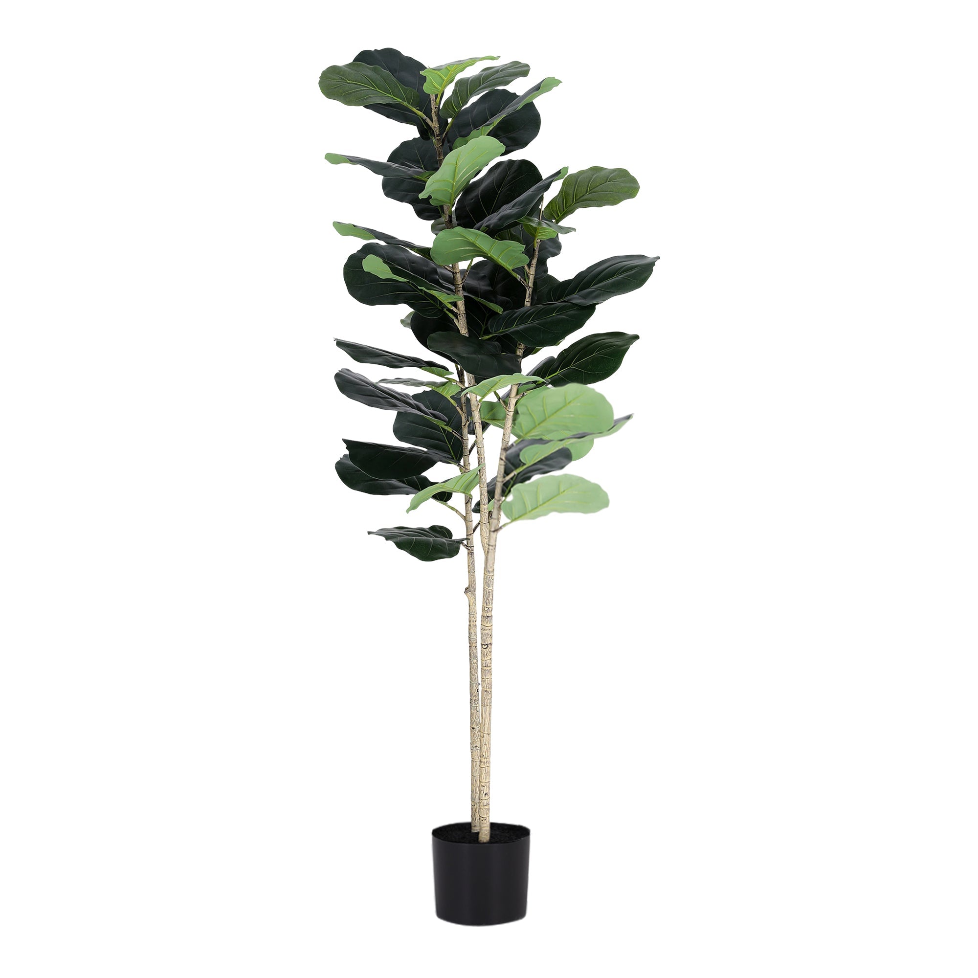 150cm Artificial Fiddle Tree Faux Trees Indoor Decor Artificial Plants Lifelike Plant 1.5M - Home & Garden > Artificial Plants > Artificial Trees - Rivercity House & Home Co. (ABN 18 642 972 209) - Affordable Modern Furniture Australia