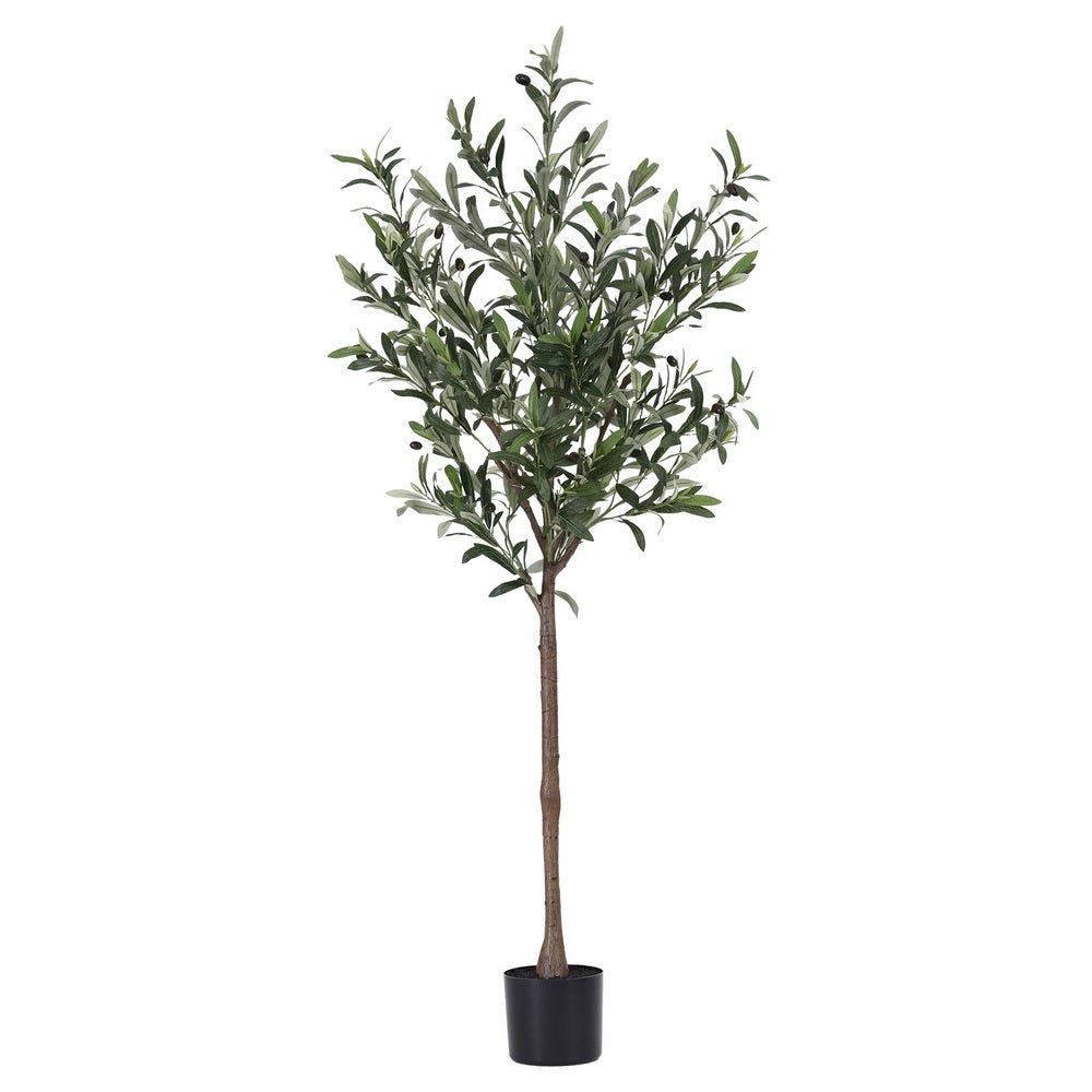 155cm Artificial Olive Tree Faux Trees Indoor Decor Artificial Plants Lifelike Plant - Home & Garden > Artificial Plants > Artificial Trees - Rivercity House & Home Co. (ABN 18 642 972 209) - Affordable Modern Furniture Australia