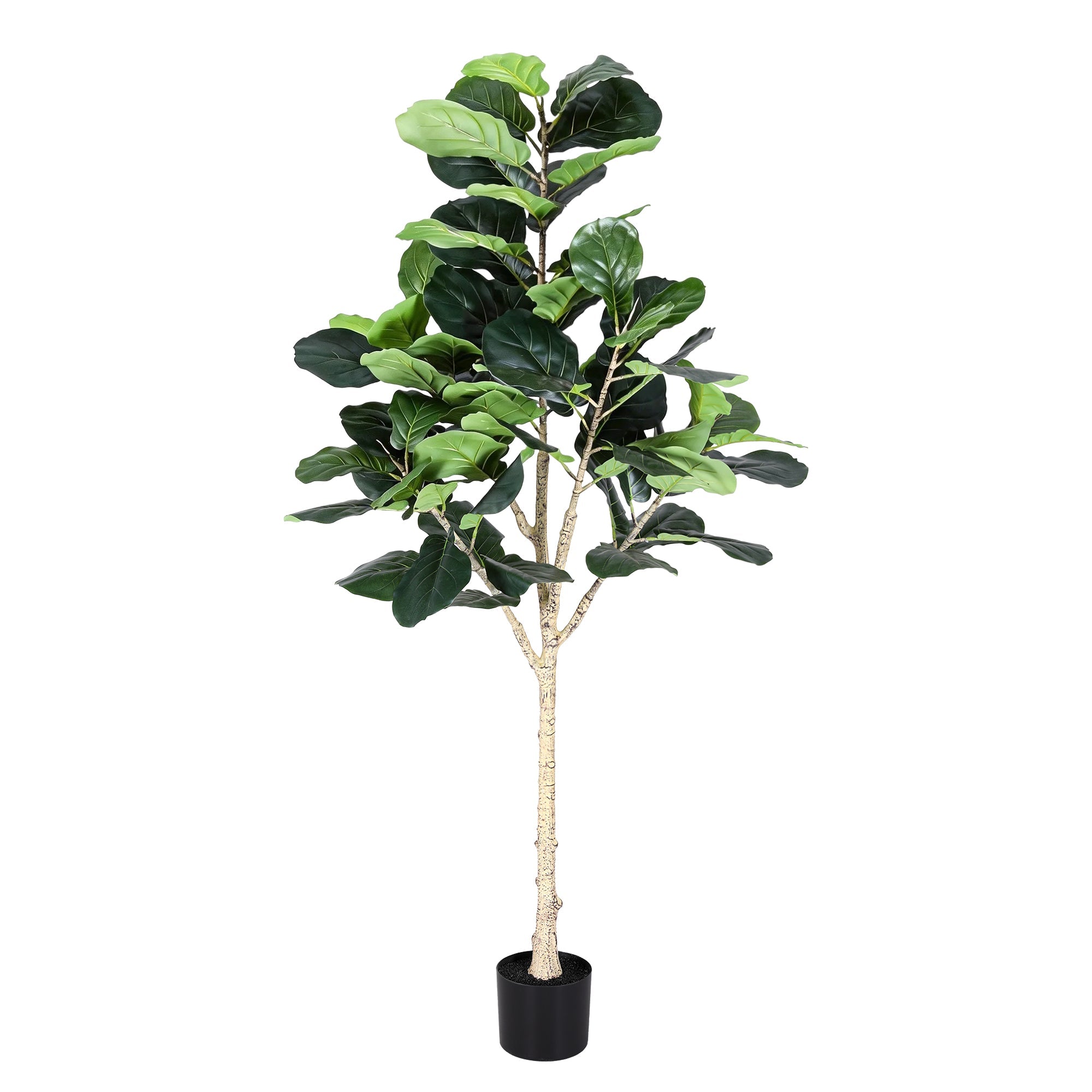 180cm Artificial Fiddle Tree Faux Trees Indoor Decor Artificial Plants Lifelike Plant 1.8M - Home & Garden > Artificial Plants > Artificial Trees - Rivercity House & Home Co. (ABN 18 642 972 209) - Affordable Modern Furniture Australia