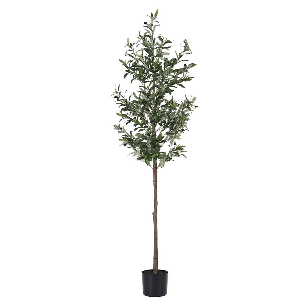 180cm Artificial Olive Tree Faux Trees Indoor Decor Artificial Plants Lifelike Plant 1.8M - Home & Garden > Artificial Plants > Artificial Trees - Rivercity House & Home Co. (ABN 18 642 972 209) - Affordable Modern Furniture Australia