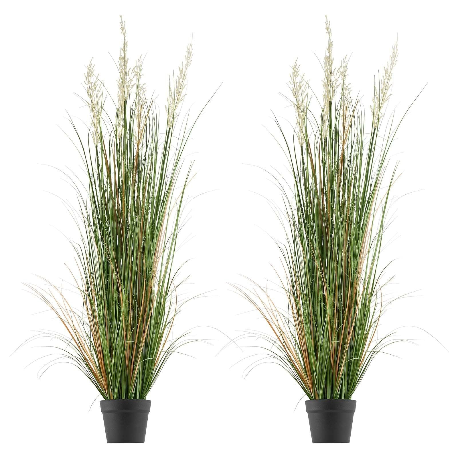 2 Pack 1499mm Artificial Grass Plants in Pots, Faux Reed Flower Greenery for Indoor Outdoor Décor - Green - Home & Garden > Artificial Plants > Artificial Wall Plants - Rivercity House & Home Co. (ABN 18 642 972 209) - Affordable Modern Furniture Australia