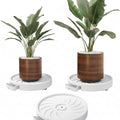 2-Pack Rolling Plant Stand with 360° Wheels for 26 cm Indoor Pots - Black