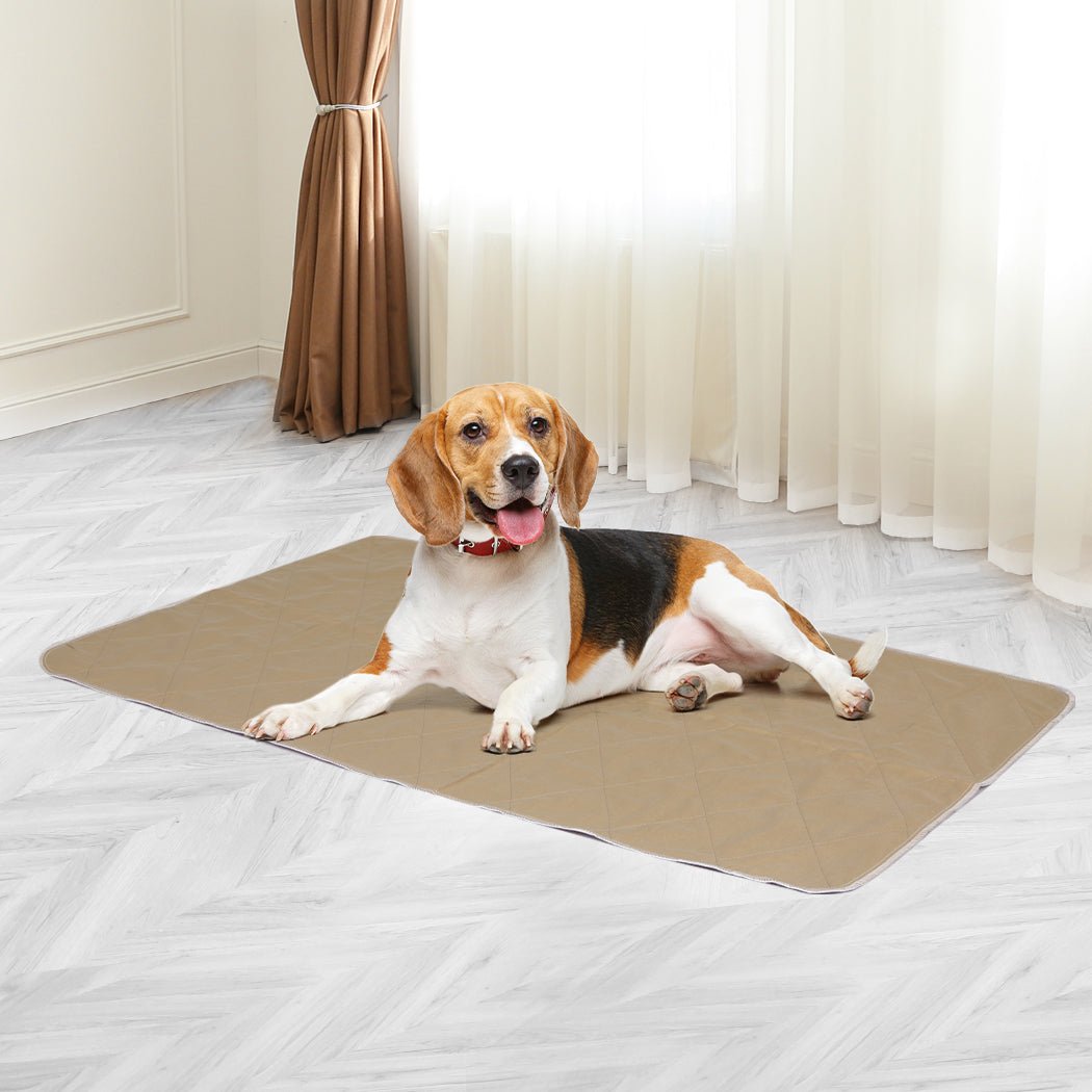 2 Pcs 60x90 cm Reusable Waterproof Dog Urine Pads - Blue - Rivercity House & Home Co. (ABN 18 642 972 209) - Affordable Modern Furniture Australia