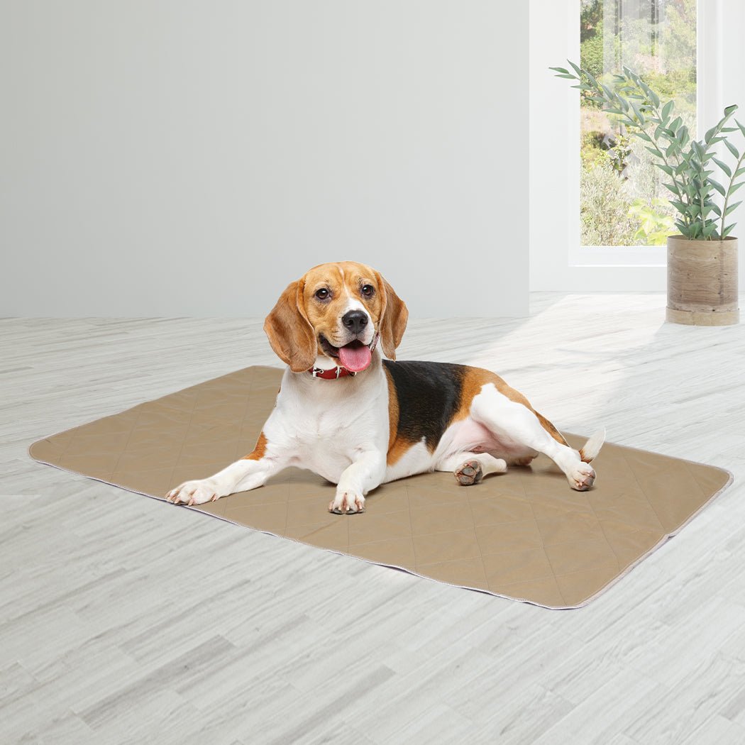 2 Pcs 60x90 cm Reusable Waterproof Dog Urine Pads - Blue - Rivercity House & Home Co. (ABN 18 642 972 209) - Affordable Modern Furniture Australia