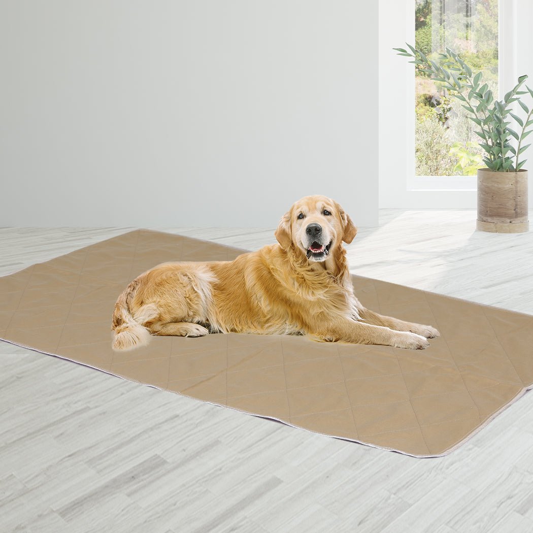 2 Pcs Jumbo 120x120 cm Reusable Waterproof Dog Urine Pads - Blue - Rivercity House & Home Co. (ABN 18 642 972 209) - Affordable Modern Furniture Australia