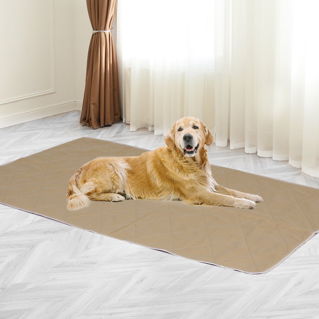 2 Pcs Jumbo 120x120 cm Reusable Waterproof Dog Urine Pads - Blue - Rivercity House & Home Co. (ABN 18 642 972 209) - Affordable Modern Furniture Australia