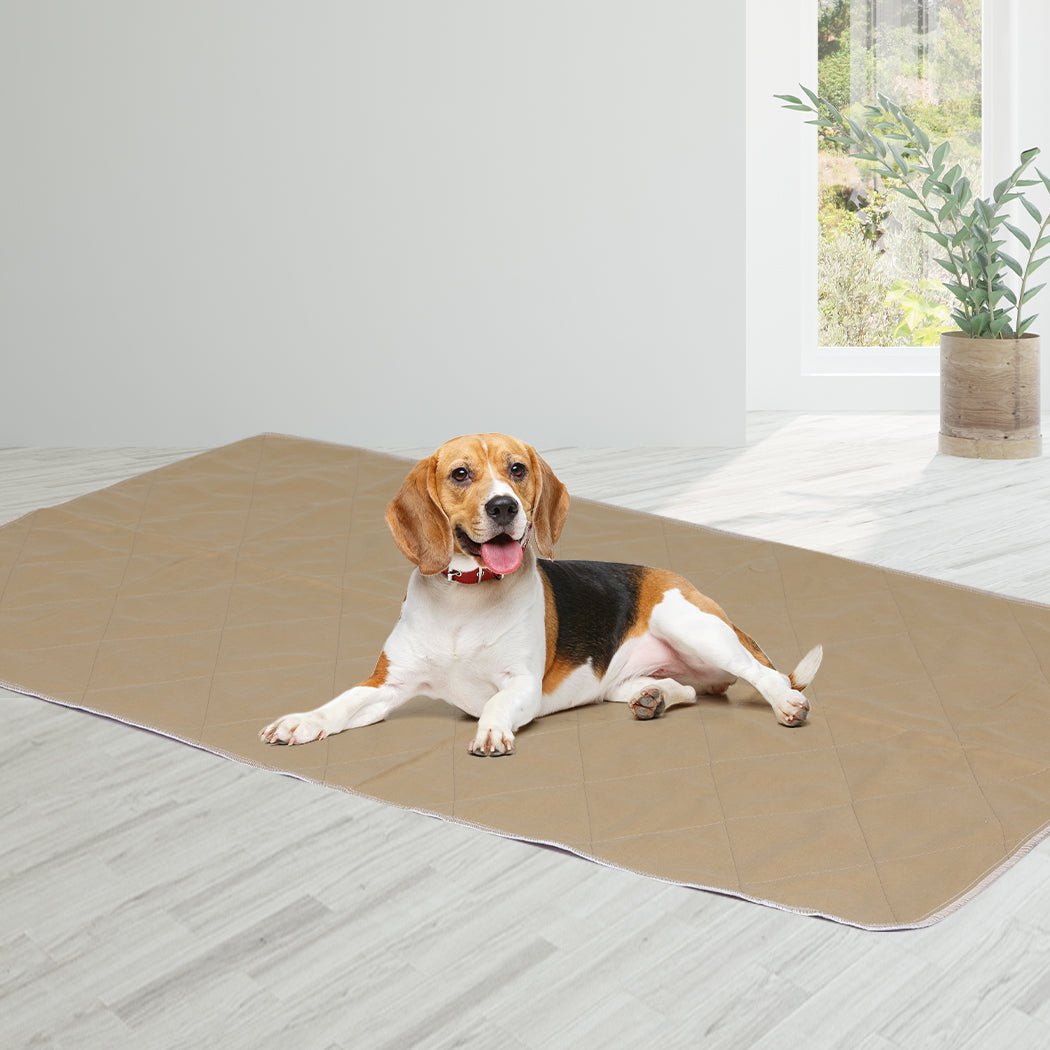 2 Pcs XXL 90x90 cm Reusable Waterproof Dog Urine Pads - Blue - Rivercity House & Home Co. (ABN 18 642 972 209) - Affordable Modern Furniture Australia