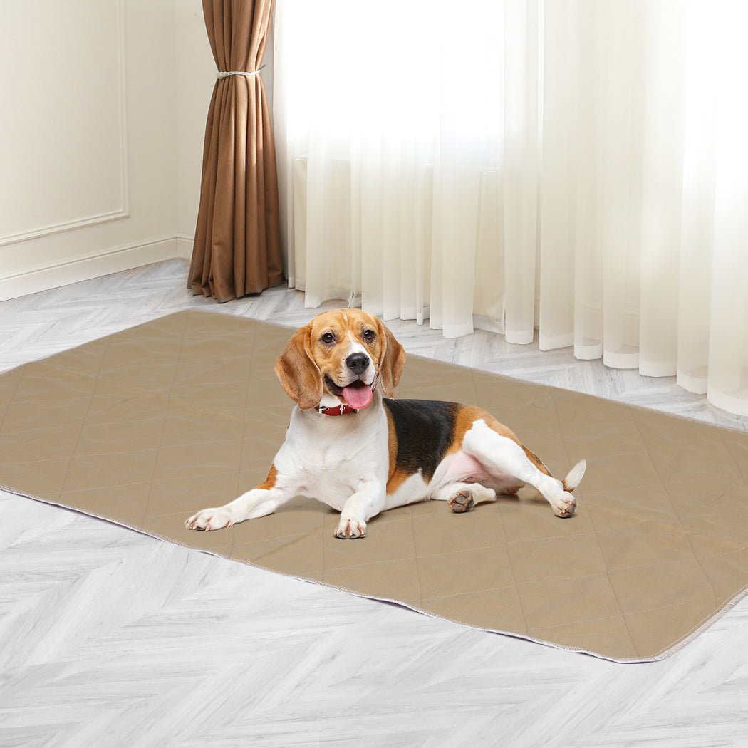 2 Pcs XXL 90x90 cm Reusable Waterproof Dog Urine Pads - Blue - Rivercity House & Home Co. (ABN 18 642 972 209) - Affordable Modern Furniture Australia