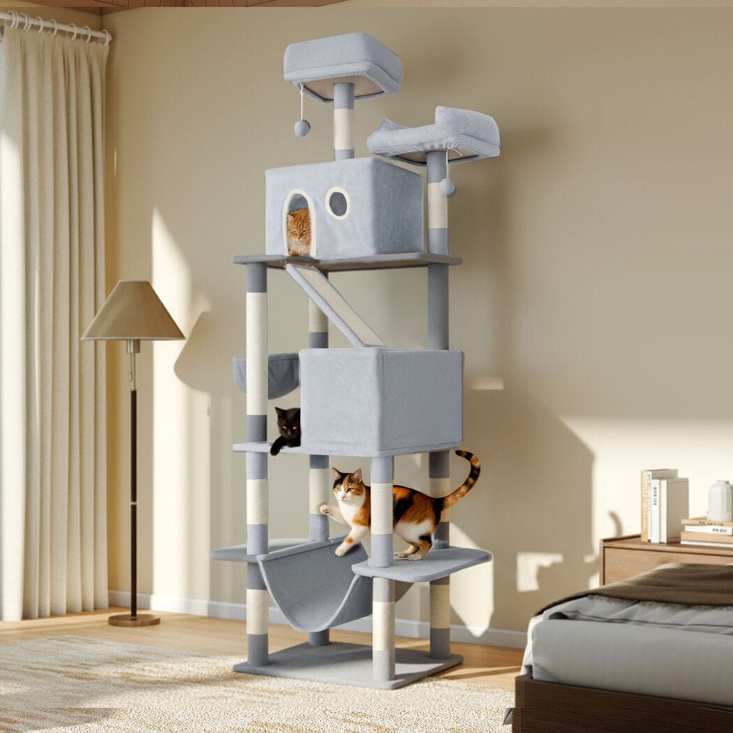 206cm Multi - Level Cat Tree Scratching Post with Climbing - Silver Grey - Rivercity House & Home Co. (ABN 18 642 972 209) - Affordable Modern Furniture Australia