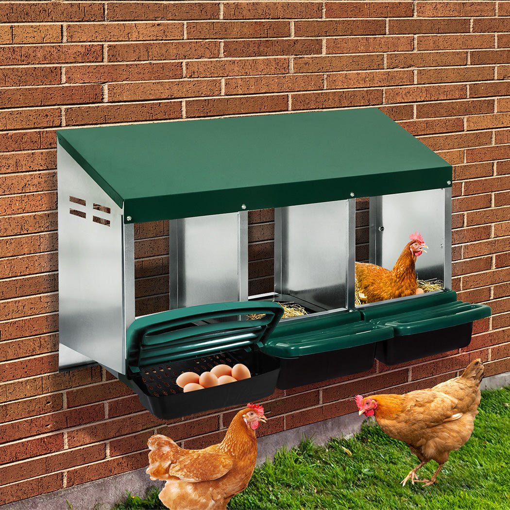 3 - Hole Chicken Egg Nesting Box with Stand and Wall Mount - Green - Rivercity House & Home Co. (ABN 18 642 972 209) - Affordable Modern Furniture Australia