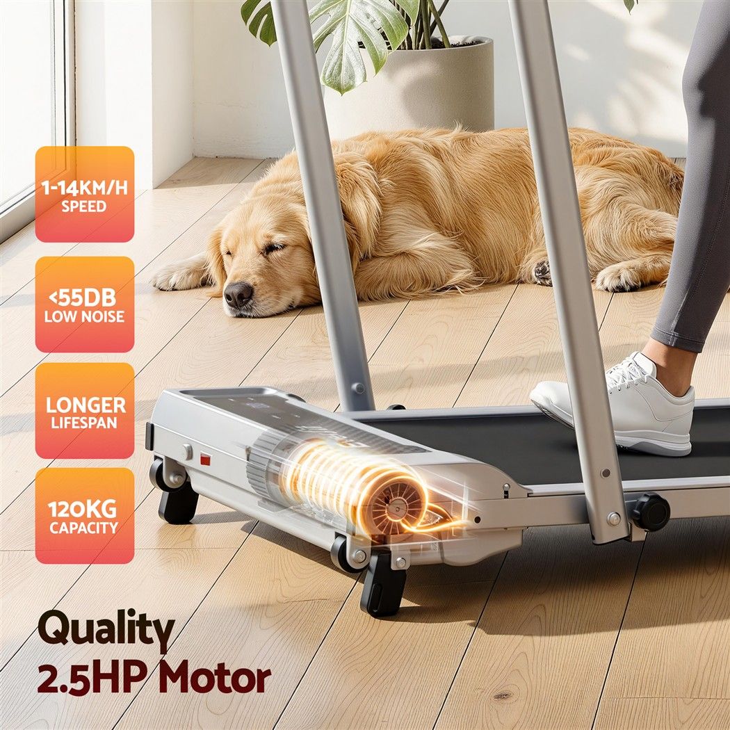 3 in 1 Walking Pad Treadmill 12% Incline Foldable Under Desk Treadmills for Home Gym With 40cm Wide Belt Silver - Sports & Fitness > Exercise, Gym & Fitness > Treadmills - Rivercity House & Home Co. (ABN 18 642 972 209) - Affordable Modern Furniture Australia