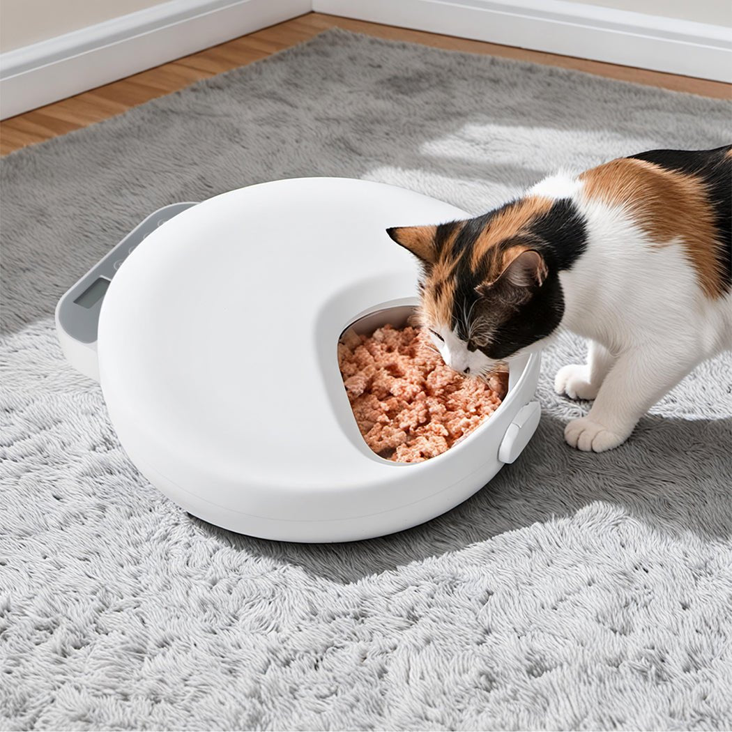 4 - Meal Automatic Timer Smart Pet Feeder with Ice Pack - White - Rivercity House & Home Co. (ABN 18 642 972 209) - Affordable Modern Furniture Australia