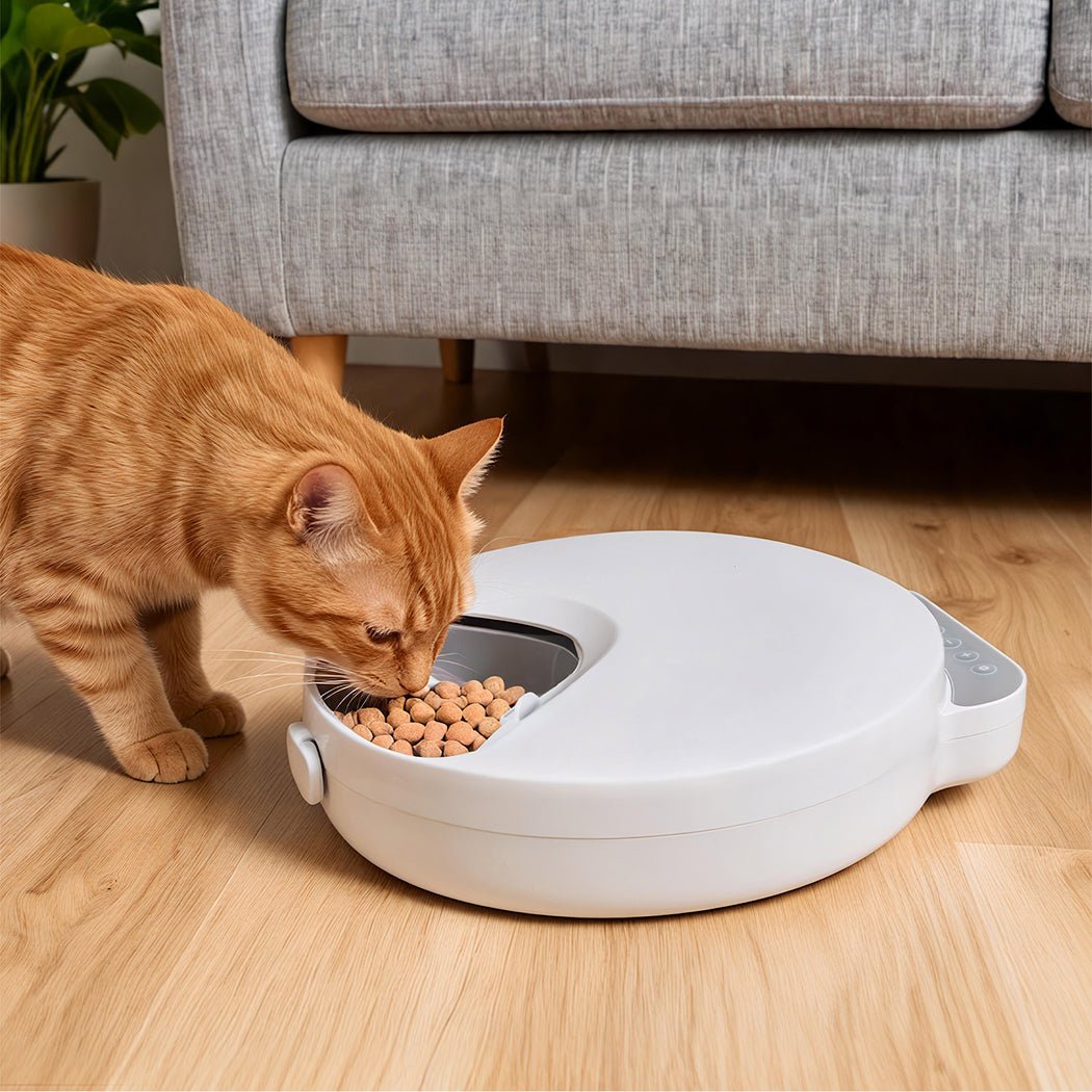4 - Meal Automatic Timer Smart Pet Feeder with Ice Pack - White - Rivercity House & Home Co. (ABN 18 642 972 209) - Affordable Modern Furniture Australia